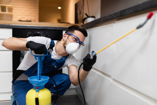 Best Best Pest Control Companies  in Fennville, MI