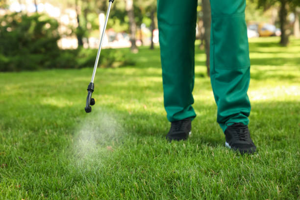 Best Mosquito Control Services  in Fennville, MI