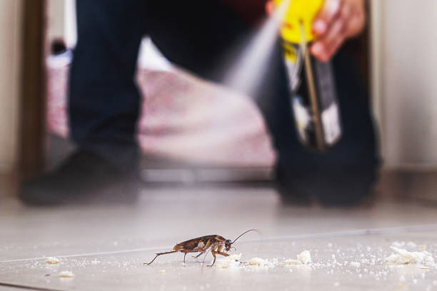 Pest Control for Restaurants in Fennville, MI
