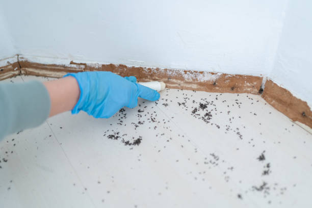 Best Residential Pest Control  in Fennville, MI